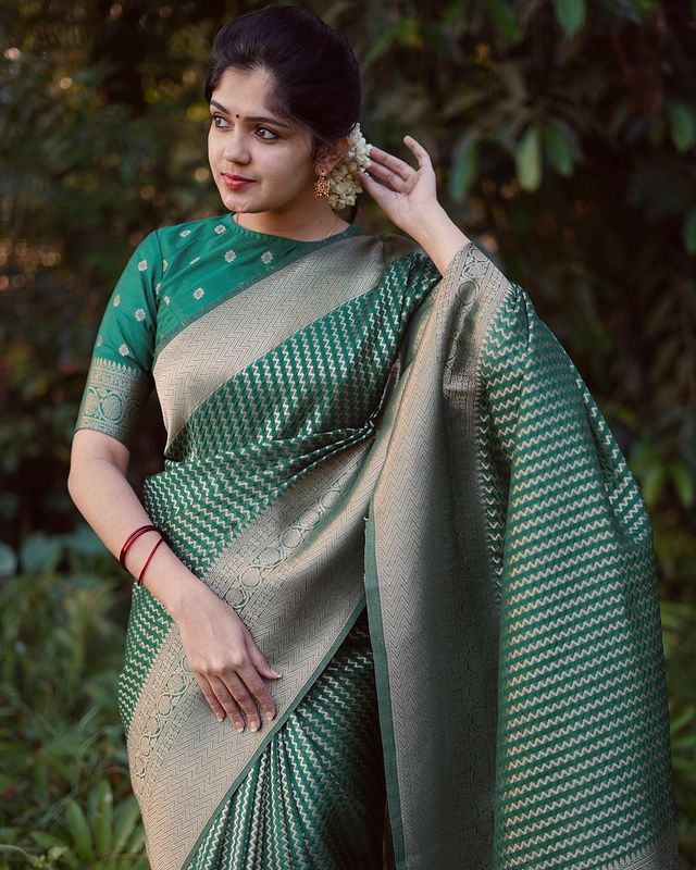 BEAUTIFUL KANJIVARAM SILK DESIGNER SAREE