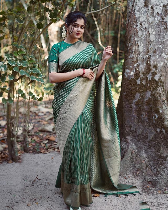BEAUTIFUL KANJIVARAM SILK DESIGNER SAREE